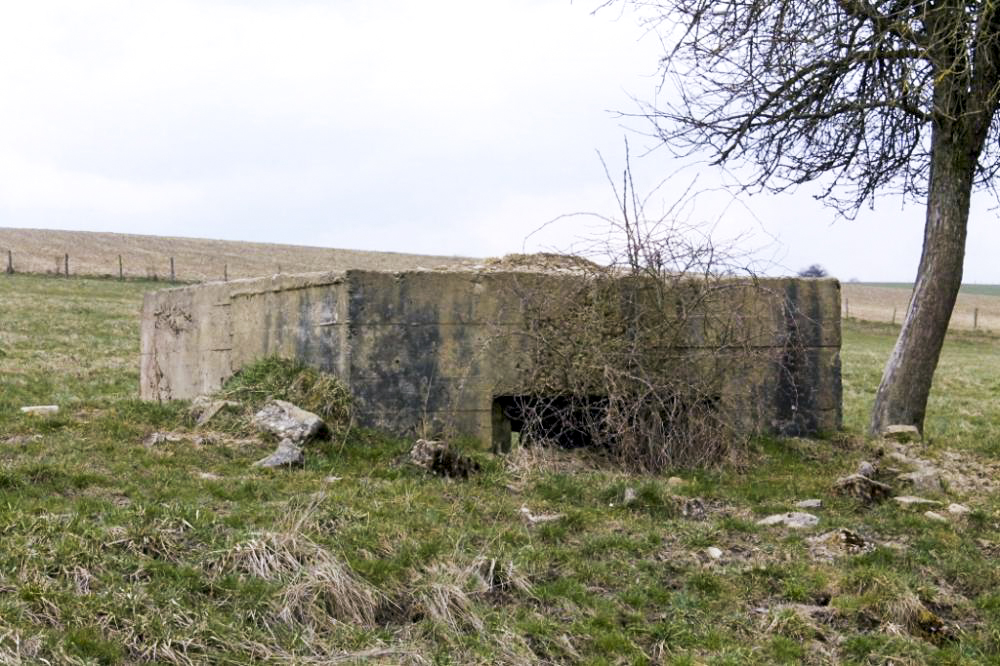 Ligne Maginot - DELLWIESE OUEST - (Blockhaus pour arme infanterie) - Façade de tir - Christian LENHARD