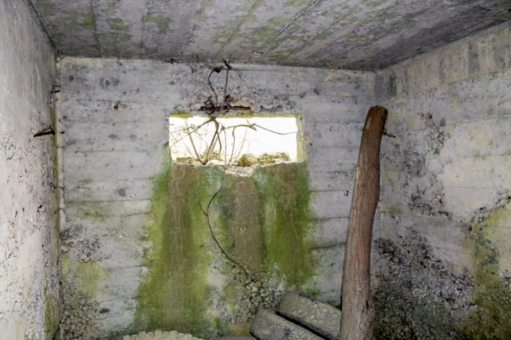 Ligne Maginot - DELLWIESE OUEST - (Blockhaus pour arme infanterie) - L'intérieur - Christian LENHARD