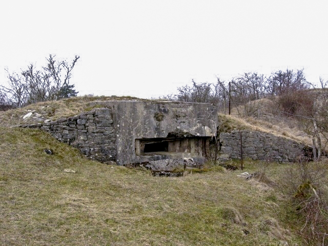 Ligne Maginot - BREITWIESE 2 - (Blockhaus pour canon) - Façade de tir