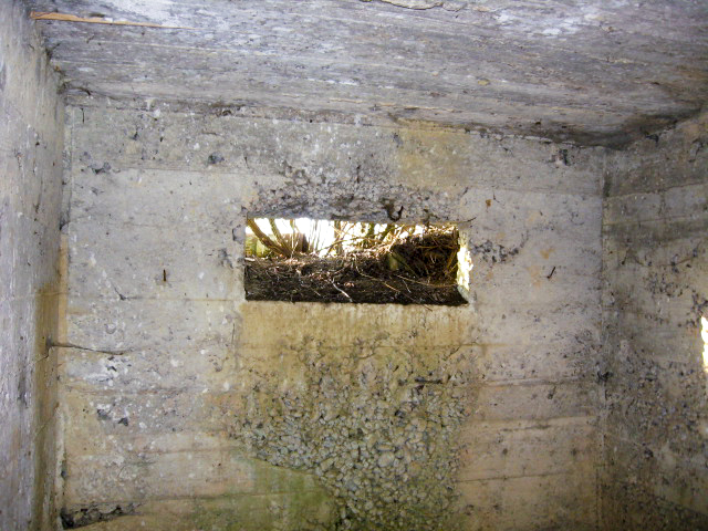 Ligne Maginot - DELLWIESE EST - (Blockhaus pour arme infanterie) - L'intérieur - Christian LENHARD