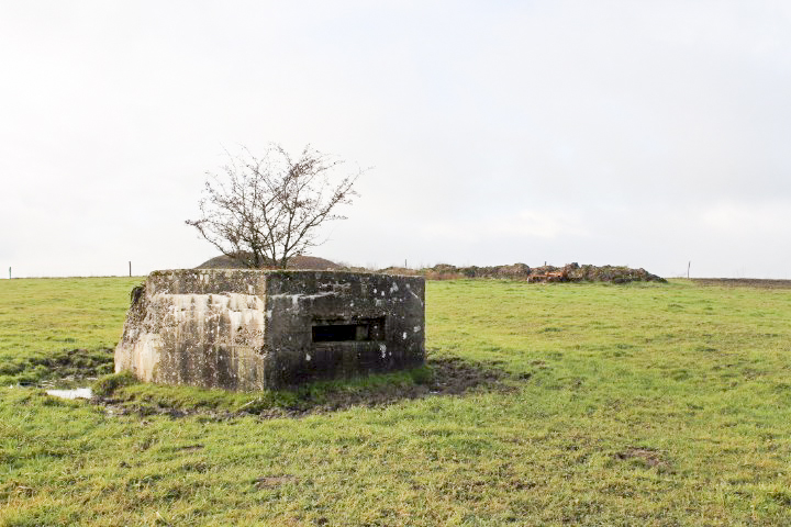 Ligne Maginot - DORFWIESE 1 - (Blockhaus pour arme infanterie) - Vue générale - Christian LENHARD
