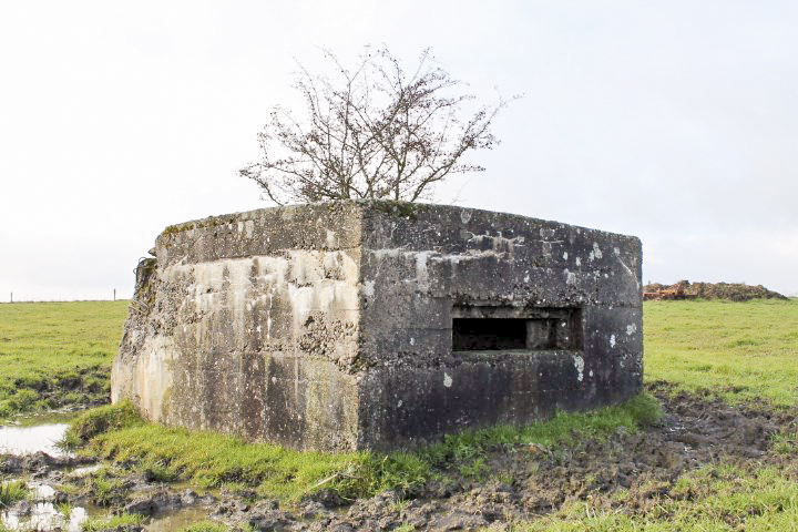 Ligne Maginot - DORFWIESE 1 - (Blockhaus pour arme infanterie) - Façade de tir - Christian LENHARD