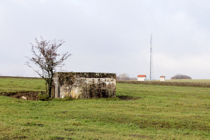 Ligne Maginot - DORFWIESE 1 - (Blockhaus pour arme infanterie) - Vue générale - Christian LENHARD