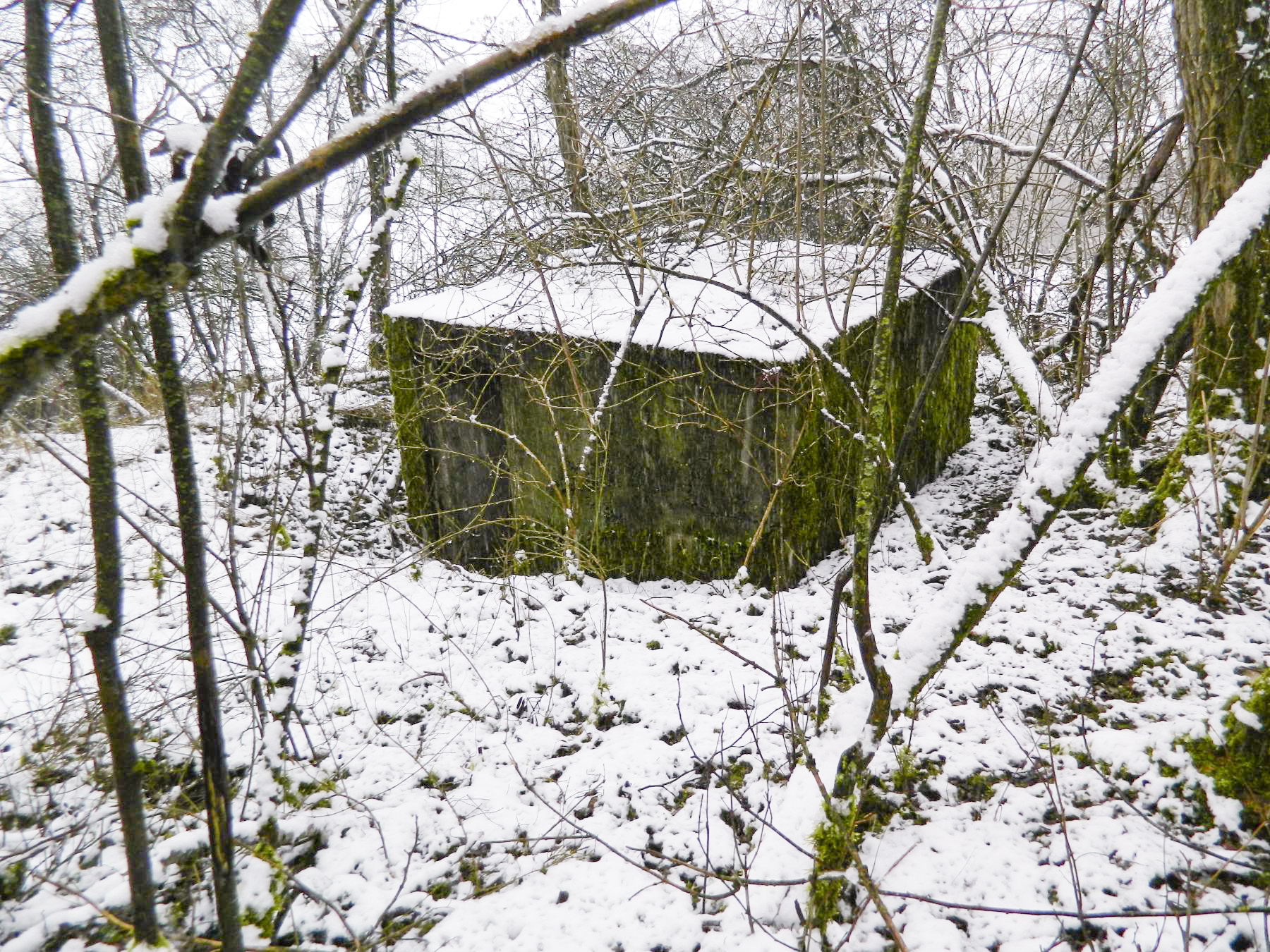 Ligne Maginot - DORFBRUNNEN CENTRE - (Blockhaus pour arme infanterie) -  - Jean-Marie Bach