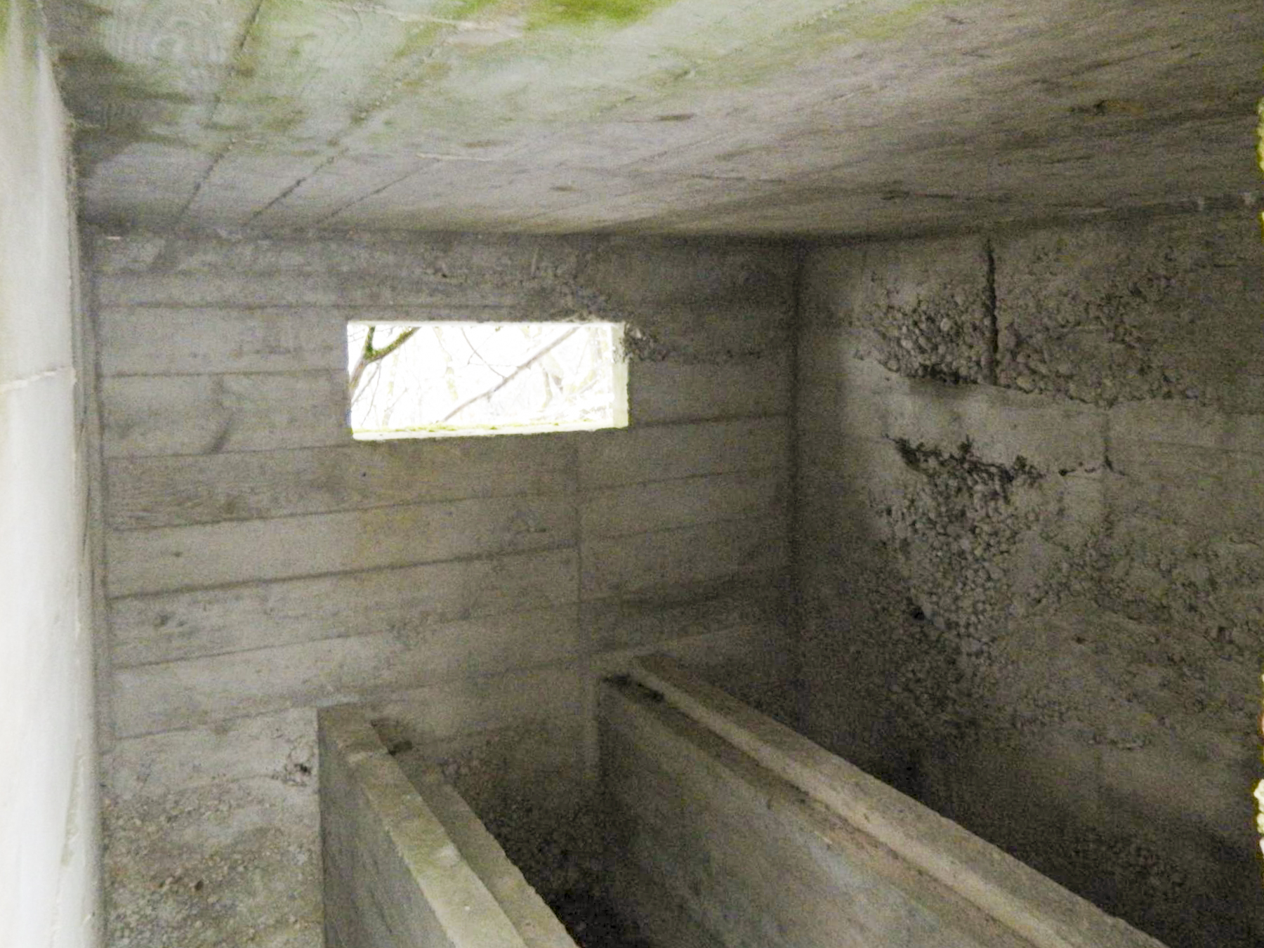 Ligne Maginot - DORFBRUNNEN CENTRE - (Blockhaus pour arme infanterie) -  - Jean-Marie Bach