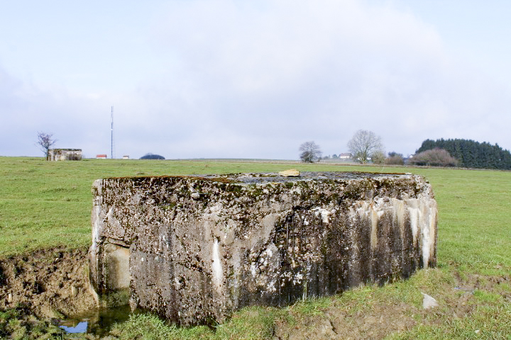 Ligne Maginot - DORFWIESE 2 - (Blockhaus pour arme infanterie) - Façade arrière - Christian LENHARD