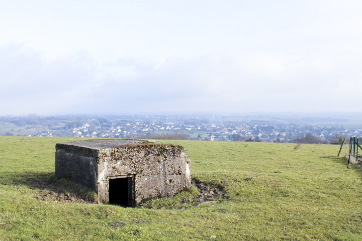 Ligne Maginot - DORFWIESE 2 - (Blockhaus pour arme infanterie) - Vue générale - Christian LENHARD