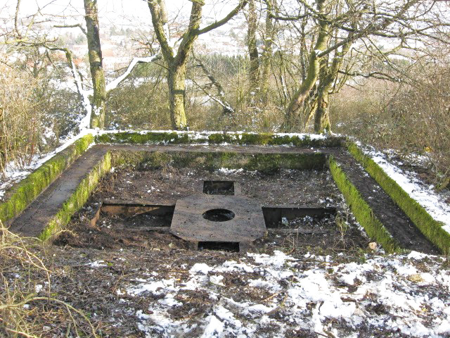 Ligne Maginot - DORFWIESE 3 - (Cuve pour canon) - Vue générale - Christian LENHARD