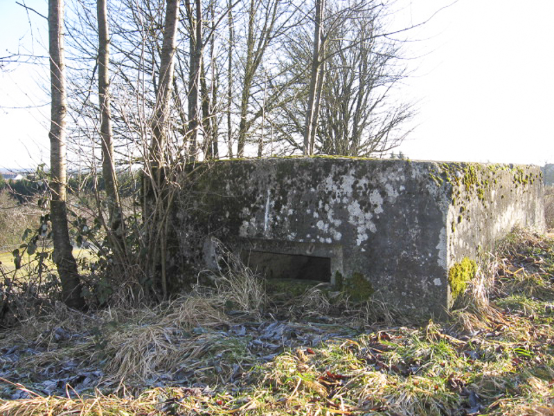 Ligne Maginot - DORFWIESE 5 (Blockhaus pour arme infanterie) - Vue générale - Christian LENHARD