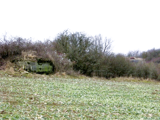 Ligne Maginot - GARTEN 1 - (Blockhaus pour arme infanterie) - A droite on apercoit la cloche GFM de la casemate de Singling ouest