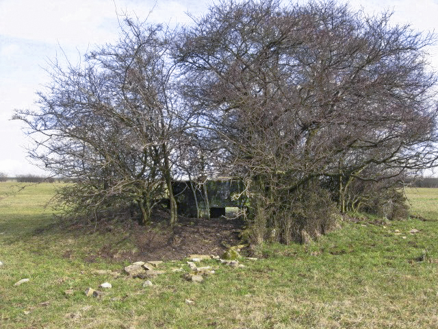 Ligne Maginot - GAIKLINGEN OUEST - (Blockhaus pour arme infanterie) - Vue générale