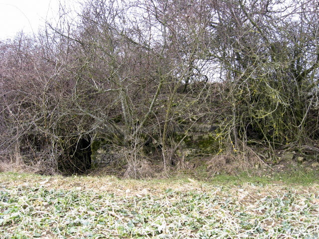 Ligne Maginot - GARTEN 5 - (Blockhaus pour arme infanterie) - Façade arriere - Christian LENHARD