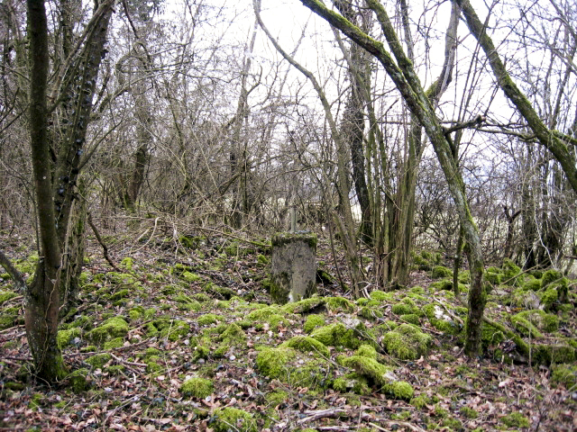 Ligne Maginot - GARTEN 3 - (Cuve pour arme d'infanterie) - Vue générale - Christian LENHARD
