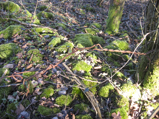 Ligne Maginot - GARTEN 3 - (Cuve pour arme d'infanterie) - Aux allentours - Christian LENHARD