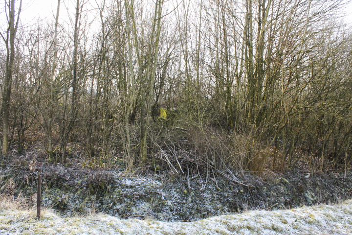 Ligne Maginot - GROS REDERCHING EST 1 - (Blockhaus pour arme infanterie) - Vue générale - Christian LENHARD