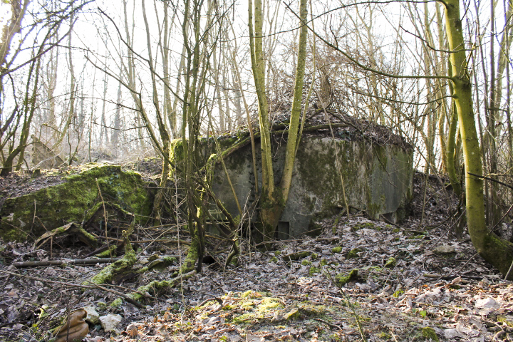 Ligne Maginot - GROS REDERCHING EST 1 - (Blockhaus pour arme infanterie) - La facade de tir - Christian LENHARD