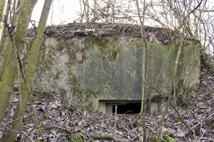 Ligne Maginot - GROS REDERCHING EST 1 - (Blockhaus pour arme infanterie) - Facade ouest - Christian LENHARD