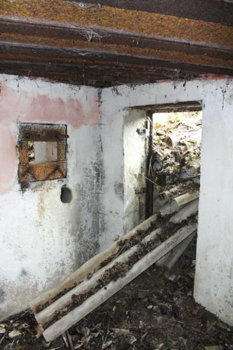 Ligne Maginot - GROS REDERCHING EST 1 - (Blockhaus pour arme infanterie) - Le créneau FM et l'entrée - Christian LENHARD