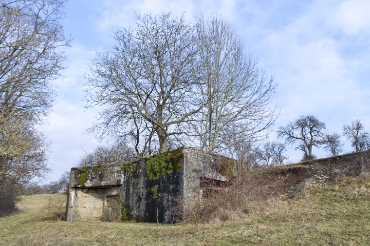 Ligne Maginot - GROS REDERCHING SUD (AVANT POSTE) - (Blockhaus pour arme infanterie) - Vue générale