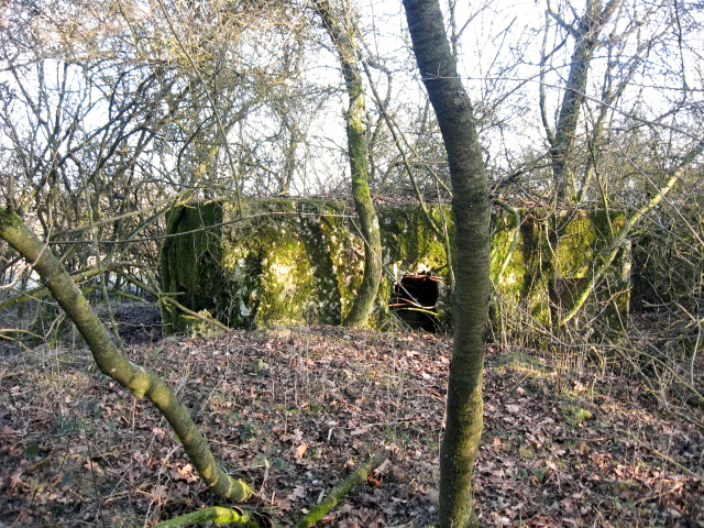 Ligne Maginot - GUCKENBERG 3 - (Blockhaus pour canon) - Vue générale