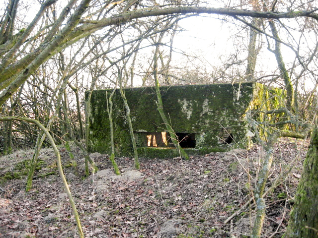 Ligne Maginot - GUCKENBERG 3 - (Blockhaus pour canon) - Façade de tir
