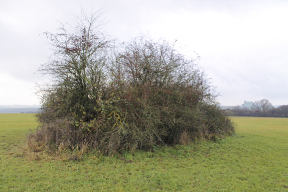 Ligne Maginot - GUCKENBERG 6 - (Blockhaus pour arme infanterie) - Vue générale - Christian LENHARD