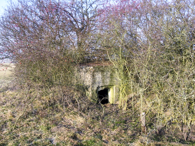Ligne Maginot - GUCKENBERG 5 - (Blockhaus pour arme infanterie) - Vue générale