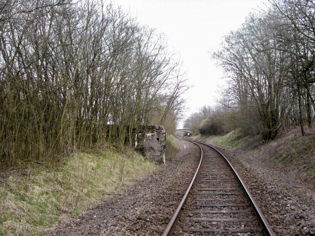 Ligne Maginot - HAMMELSWIESE 2 - (Blockhaus pour arme infanterie) - Vue générale - Christian LENHARD