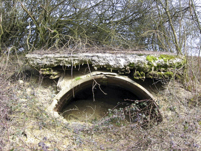 Ligne Maginot - HAMMELSWIESE 4 - (Abri) - Vue générale - Christian LENHARD