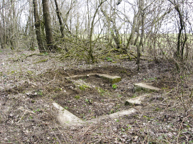 Ligne Maginot - HAMMELSWIESE 3 - (Blockhaus pour canon) - Vue générale - Christian LENHARD