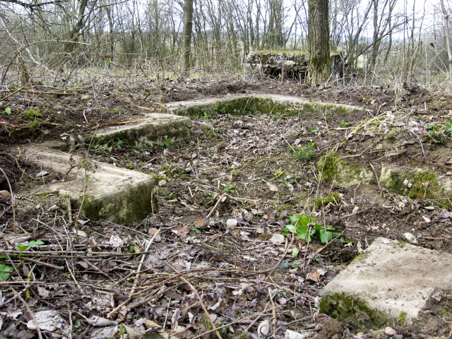 Ligne Maginot - HAMMELSWIESE 3 - (Blockhaus pour canon) - Vue générale - Christian LENHARD