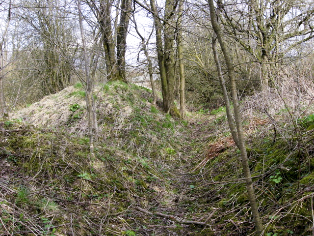 Ligne Maginot - HAMMELSWIESE 3 - (Blockhaus pour canon) - Tranchée - Christian LENHARD
