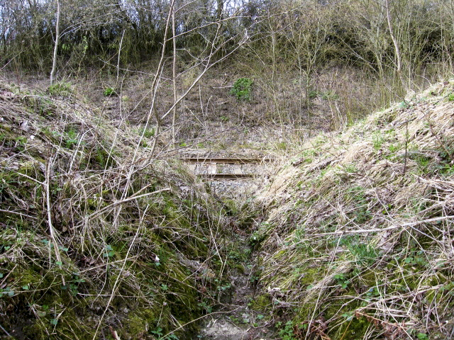 Ligne Maginot - HAMMELSWIESE 3 - (Blockhaus pour canon) - La tranchée menant vers un abr - Christian LENHARD