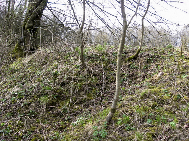 Ligne Maginot - HAMMELSWIESE 3 - (Blockhaus pour canon) - Nid de mitrailleuse - Christian LENHARD