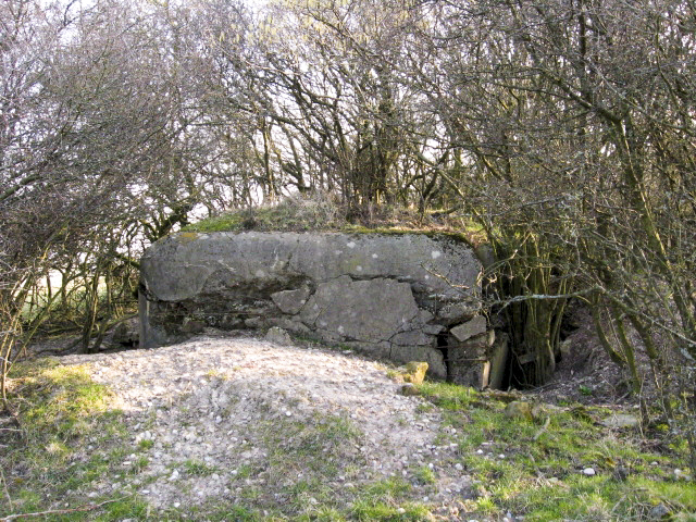 Ligne Maginot - HAMMELSWIESE 10 - (Blockhaus pour arme infanterie) - Façade arrière