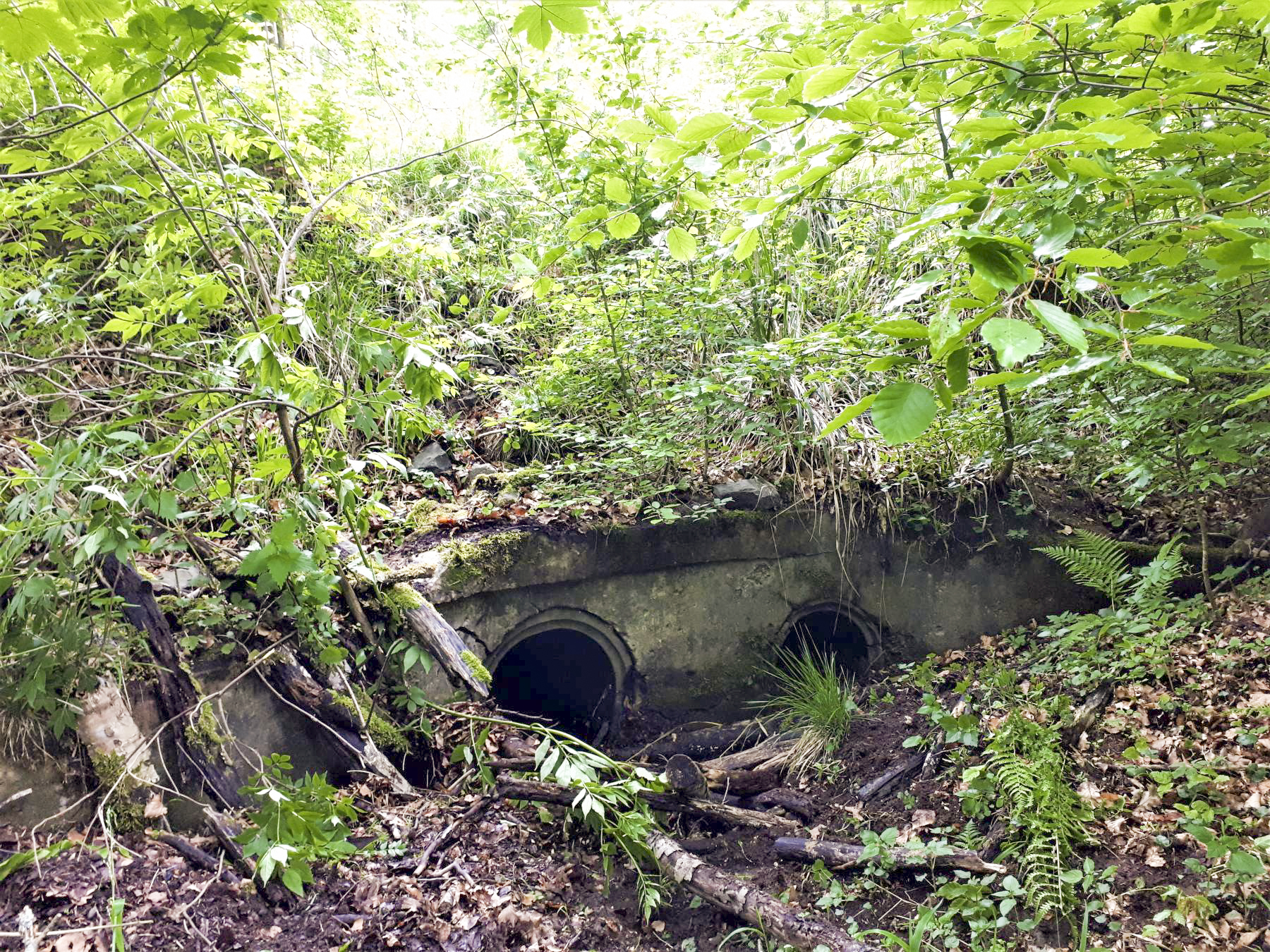 Ligne Maginot - VF60 - ANTENNE DE L'OUVRAGE DU FOUR-à-CHAUX - (RESEAU - Voie 60 - Antenne ou rocade ferroviaire) - 3 - PASSAGE SUR LE VERLORENERBACH
Le coté amont maçonné