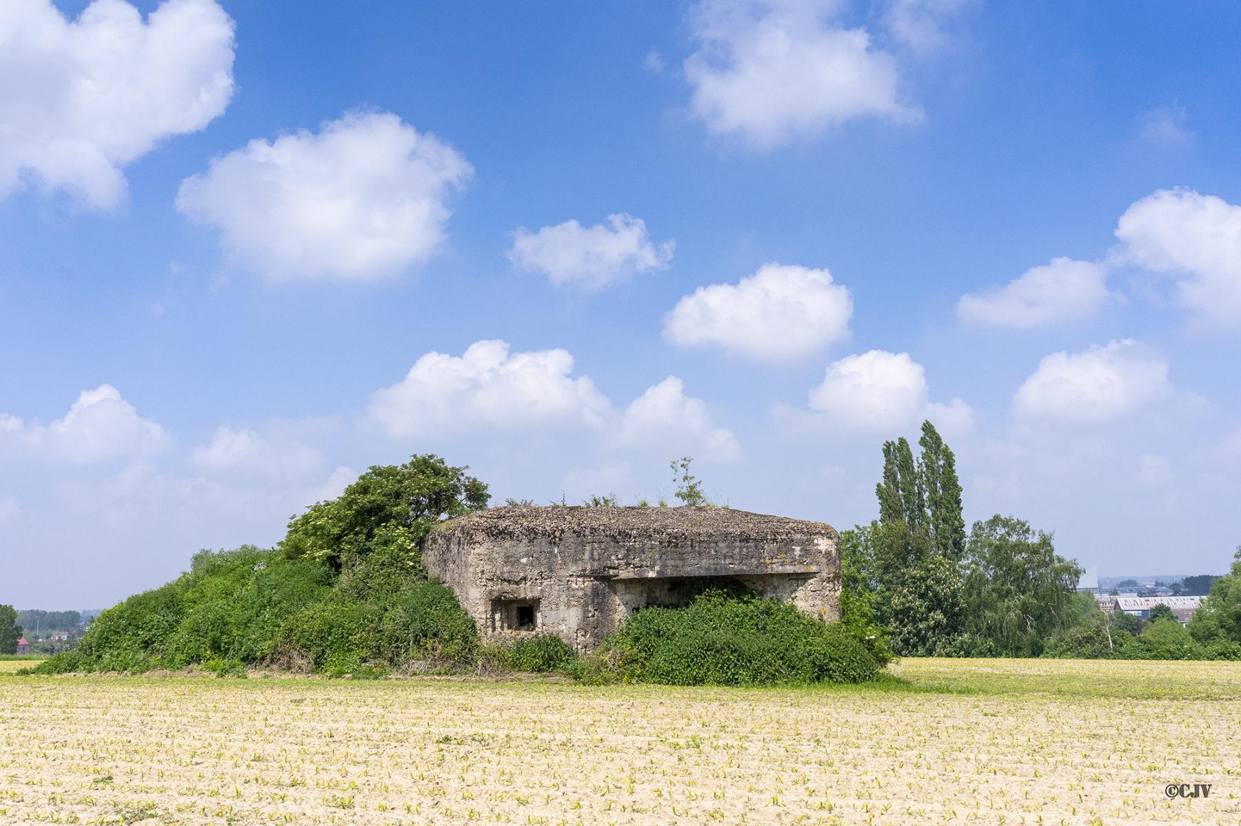Ligne Maginot - B250 - NOUVEAU MONDE - (Blockhaus pour canon) - Vue général