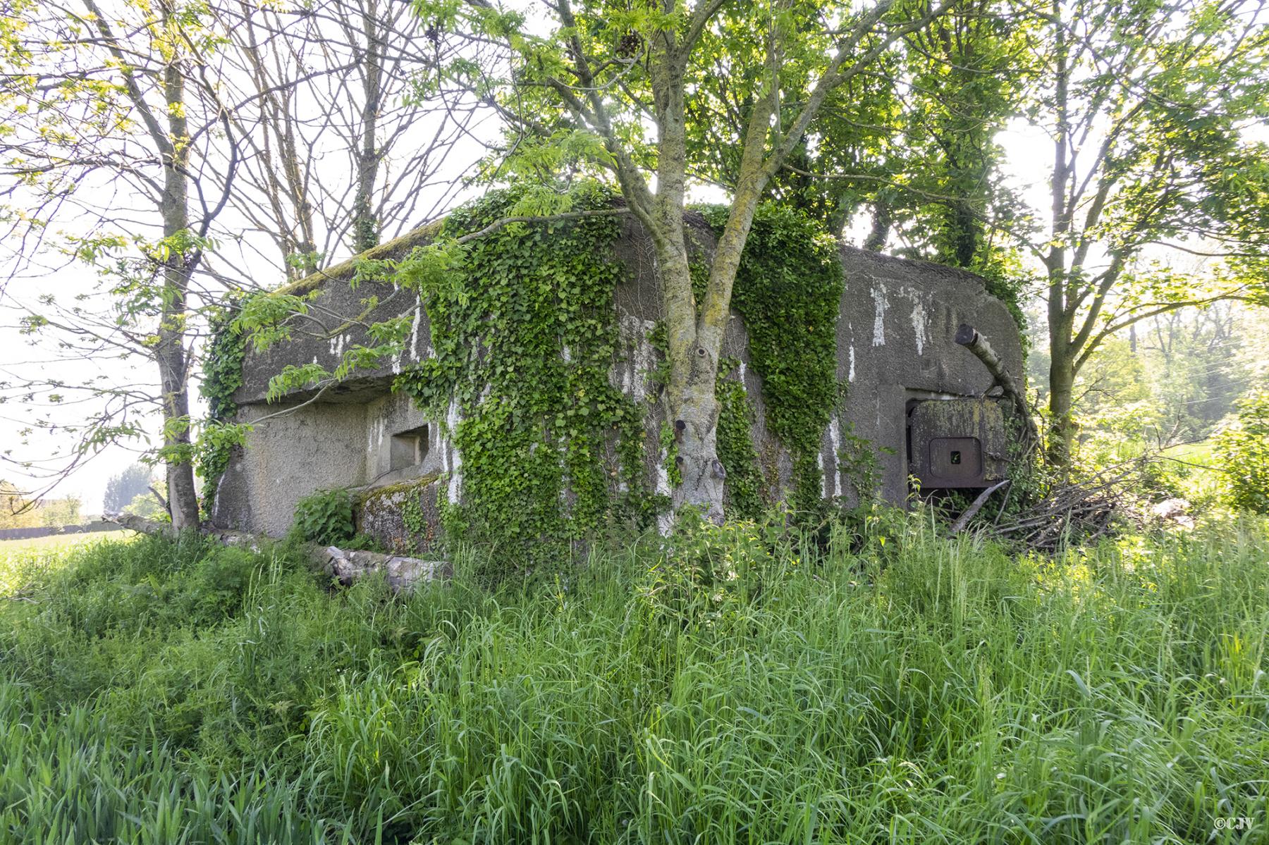Ligne Maginot - B263 - LE VERTUQUET - (Blockhaus pour canon) - 
