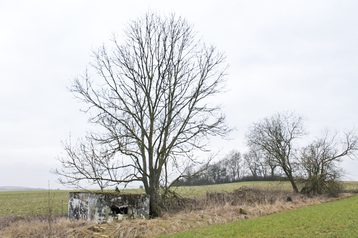 Ligne Maginot - HILLEN EST - (Blockhaus pour arme infanterie) - Vue générale