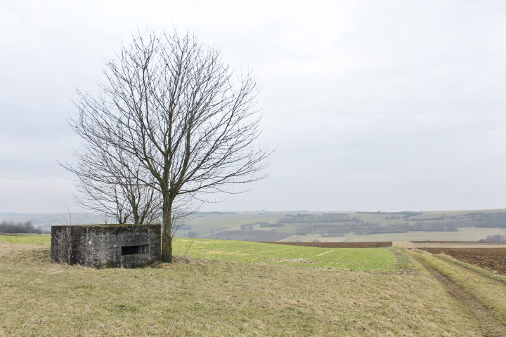 Ligne Maginot - HILLEN OUEST - (Blockhaus pour arme infanterie) - Vue générale