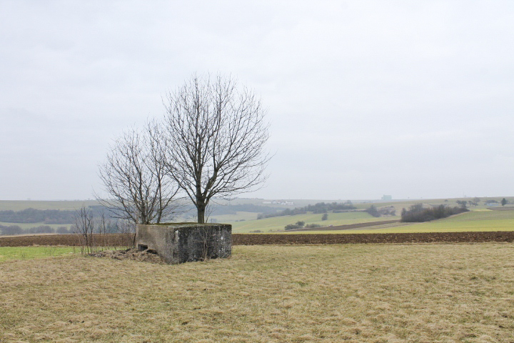 Ligne Maginot - HILLEN OUEST - (Blockhaus pour arme infanterie) - Façade arrière