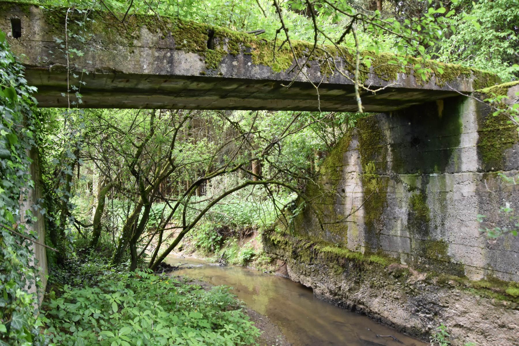Ligne Maginot - VF60 - ANTENNE DE L'OUVRAGE DE SCHOENENBOURG - (RESEAU - Voie 60 - Antenne ou rocade ferroviaire) - 22 - PONT sur le BIRLENBAECHEL
Le pont vu du sud. Il était de part et d'autre d'un talus destiné à compenser une dépression du terrain.