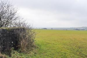 Ligne Maginot - HUNSTWIESE 3 - (Blockhaus pour arme infanterie) - Au centre le stand de tir de Bining