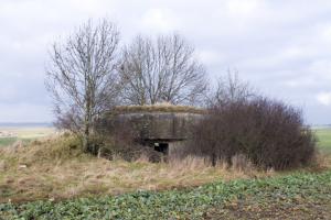 Ligne Maginot - KALKOFEN 3 - (Blockhaus pour canon) - Facade arriere