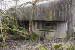 Ligne Maginot - KALKOFEN 3 - (Blockhaus pour canon) - Facade de tir