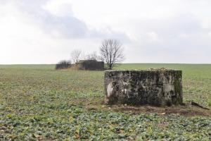 Ligne Maginot - KALKOFEN 2 - (Blockhaus pour arme infanterie) - Vue générale