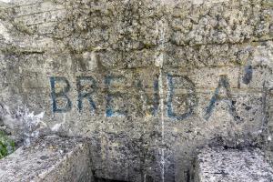 Ligne Maginot - BEF 267 - BERQUIER NORD - (Blockhaus pour arme infanterie) - 