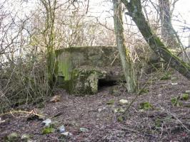 Ligne Maginot - KALKOFEN 9 - (Blockhaus pour arme infanterie) - Vue générale