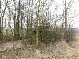 Ligne Maginot - KLEINGEWAEND 1 - (Blockhaus pour arme infanterie) - Vue générale