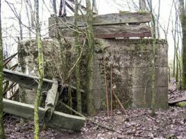 Ligne Maginot - KLEINGEWAEND 1 - (Blockhaus pour arme infanterie) - Vue générale